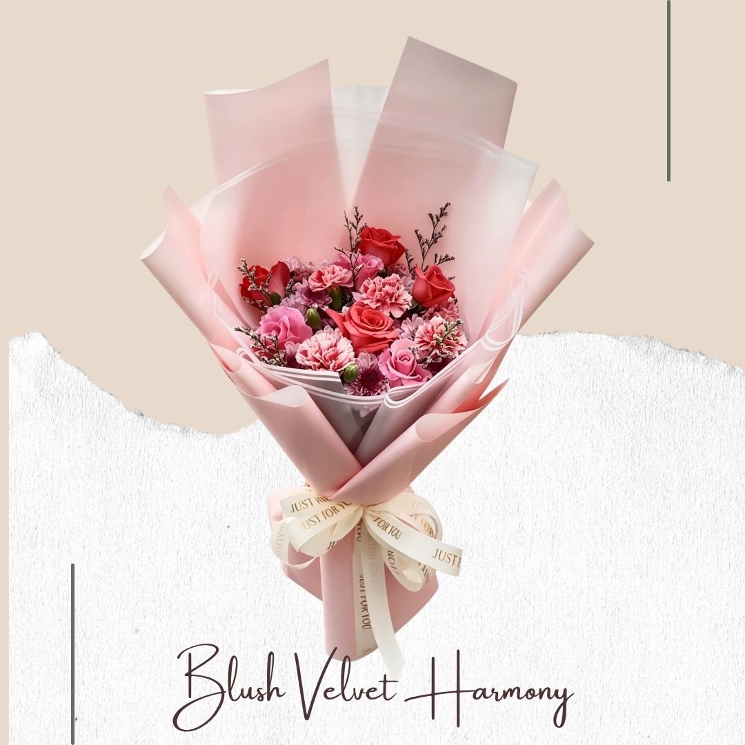 Blush Velvet Harmony